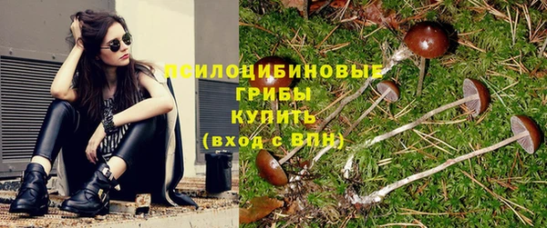 дмт Вязьма