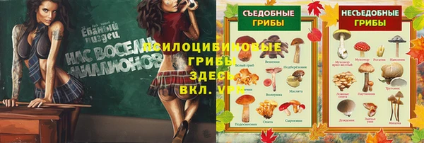 дживик Вязники