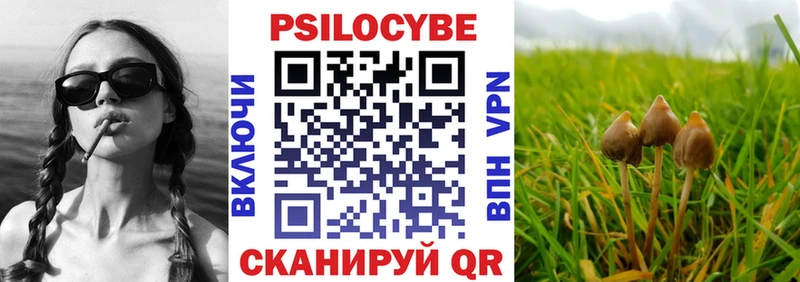 Галлюциногенные грибы GOLDEN TEACHER  Купить  Почеп 